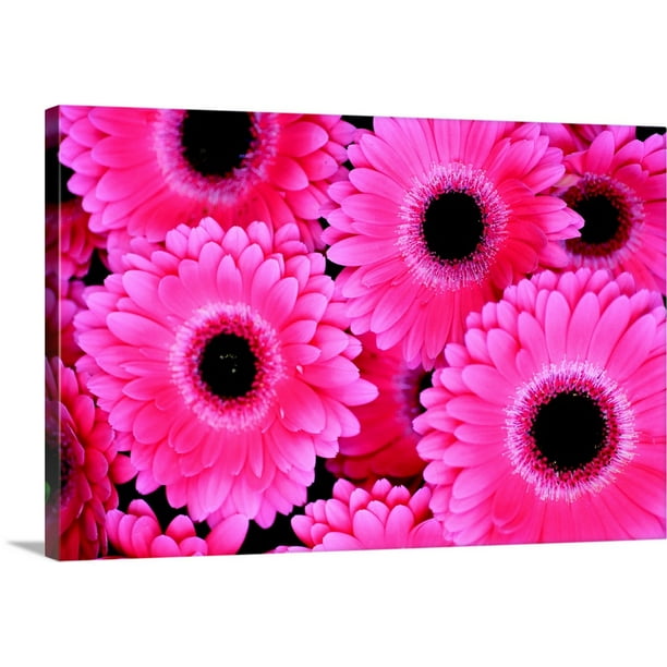 PRINT 9x12 Gerbera Eyes